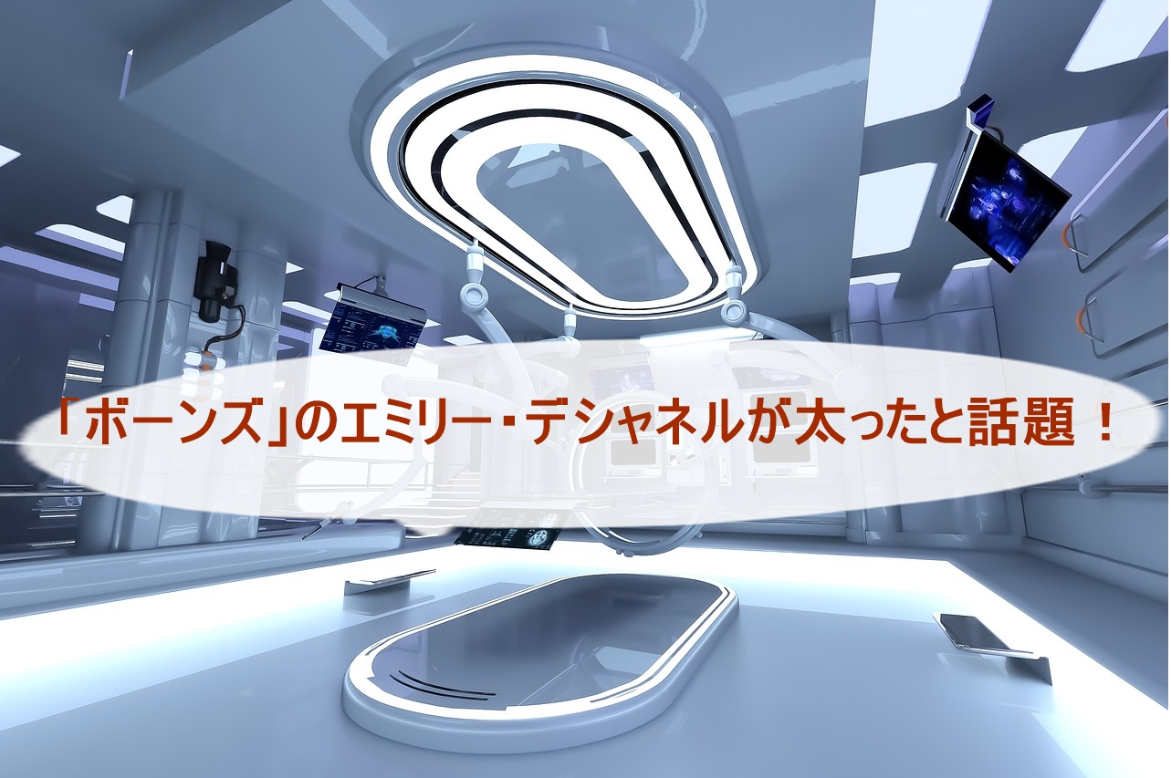 販売 エミリーでシャネル 太った